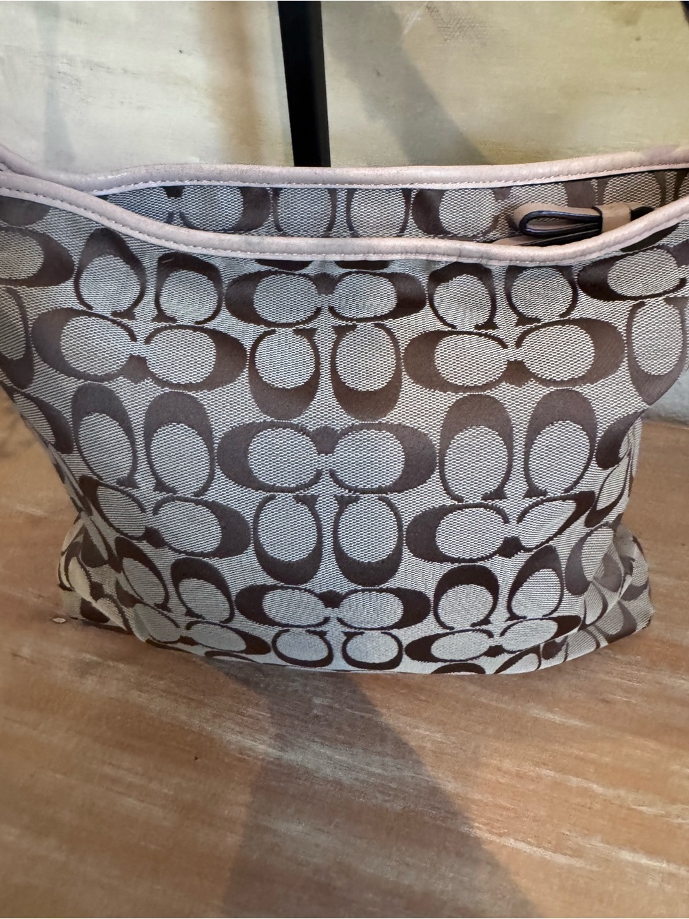 Y2KCoach Signature Canvas Crossbody with Pink Stripe - Picture 3 of 8